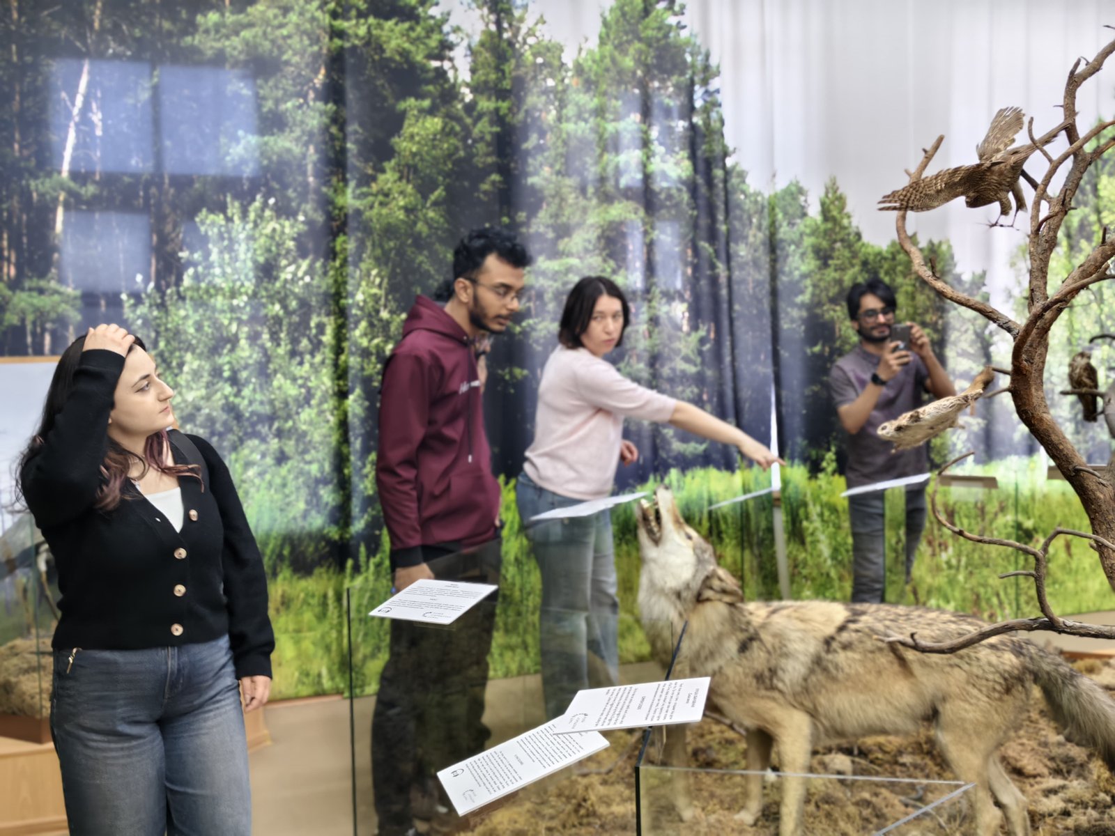Nature Museum